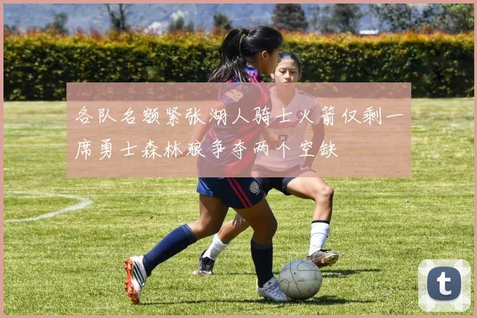 各队名额紧张湖人骑士火箭仅剩一席勇士森林狼争夺两个空缺