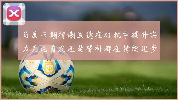 乌度卡期待谢泼德在对抗中提升实力无论首发还是替补都在持续进步