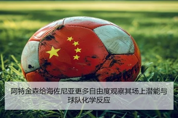 阿特金森给海佐尼亚更多自由度观察其场上潜能与球队化学反应 | kaiyun